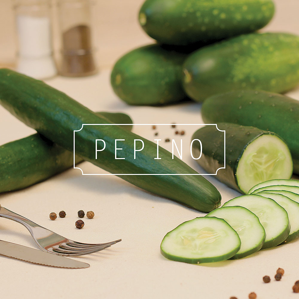 Pepino