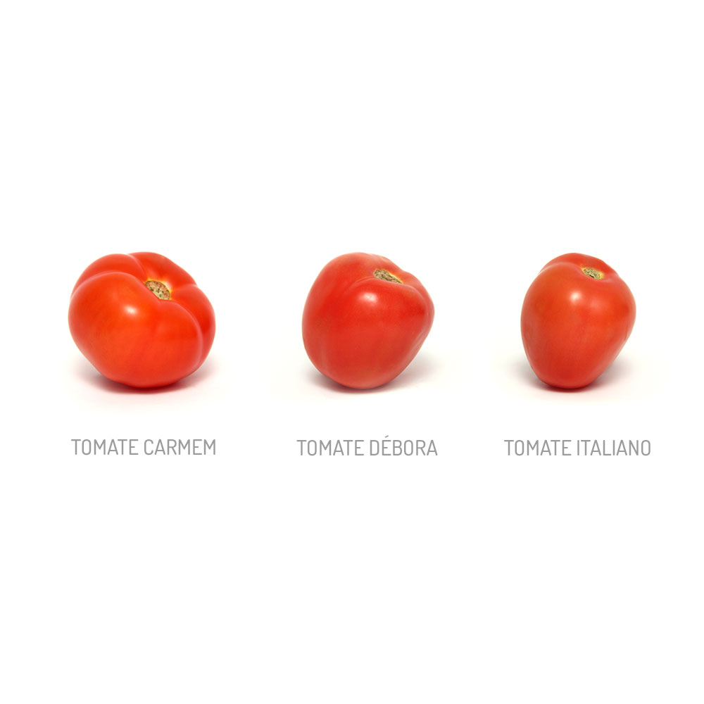 Tomate